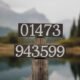 01473 943599