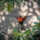 red breast