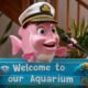 Pink Talking Fish